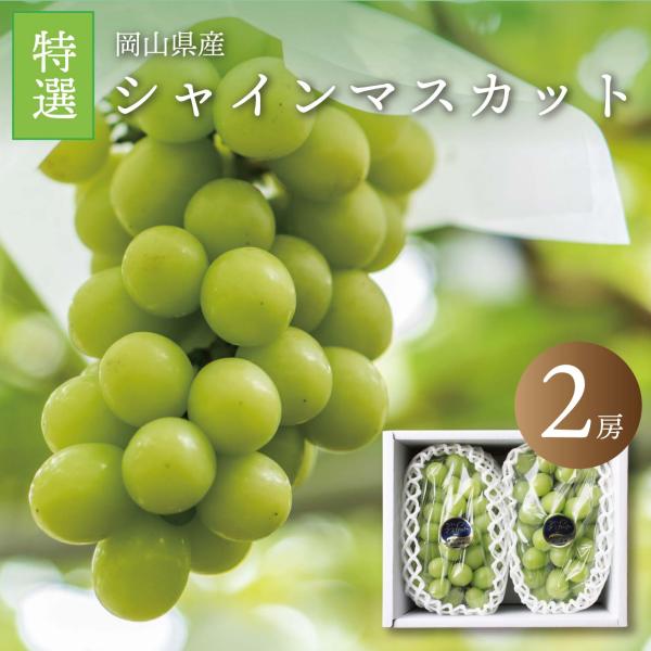 皮ごと食べられる ブドウ シャインマスカット 2房 送料無料 岡山ぶどう ぶどう 岡山県産