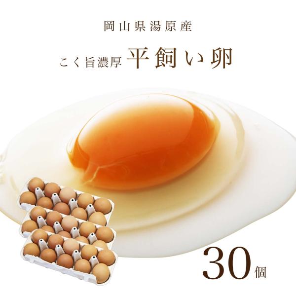 平飼い たまご 玉子 卵 無選別 コク旨 濃厚  黄身 白身 国産 地鶏 たまごかけごはんにぴったり 無精卵 送料無料 岡山県産 真庭市 食品 食べ物