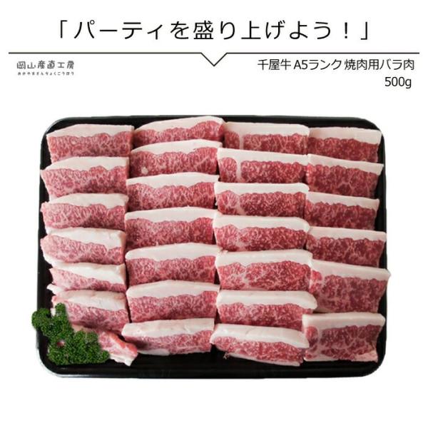 jshop-web_tiyagyu04