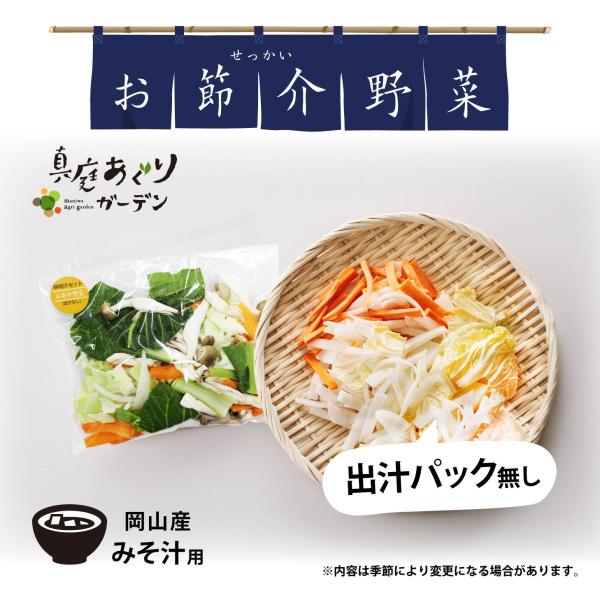カット野菜 味噌汁(出汁なし) 簡単 季節のお野菜 旬のお野菜 パック詰め 切らない野菜菌ちゃんげんきっこ お味噌汁 3〜４人前 岡山県真庭産