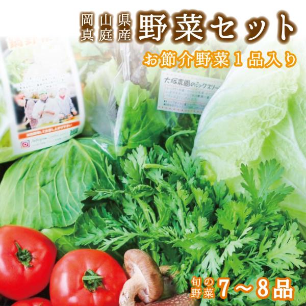 おまかせ真庭あぐり野菜セット 7〜8品 ギフト 後払い お試し少人数セット おためし野菜 岡山県真庭市産 岡山産 西日本 やさい 離乳食  酵素ジュース 野菜販売 北海道沖縄一部地域配送不可