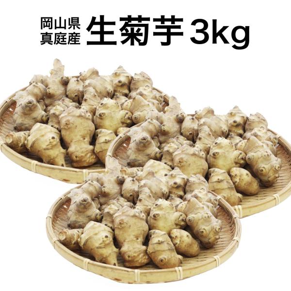 菊芋 生菊芋 きくいも 3kg イヌリン 菊芋茶 菊芋チップス 菊芋パウダー 国産 生きくいも 生キクイモ キクイモ 糖質制限 ダイエット 腸活 便秘解消 美肌 美容 野菜 健康食品 送料無料 岡山 真庭産