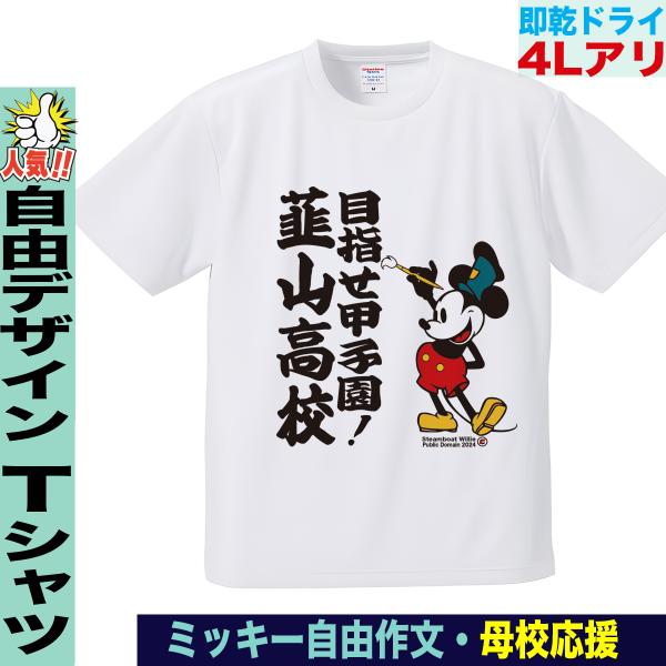 最後のお値下げです!☆超レアTシャツ☆高校野球2018福井国体 最後のお値下げです!☆超レアTシャツ☆高校野球2018福井国体