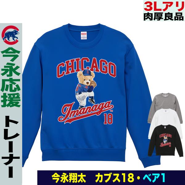 jstoreinter_swt-cub-imanaga-bear1