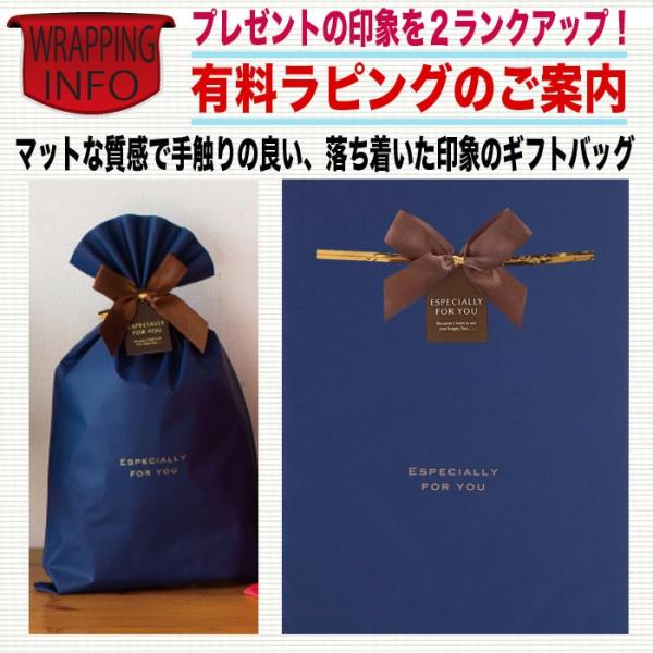 おもしろ 名言 ことわざ Tシャツ ユニセックス レディース ペア ジョーク 文字 漢字 名言 面白い オシャレ Y J T Ramune おもしろtシャツ通販のjストア 通販 Yahoo ショッピング