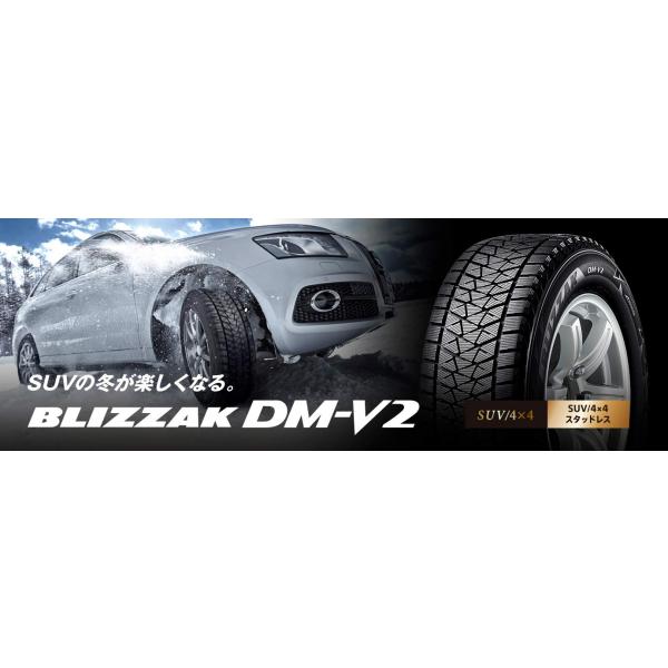 ブリザック DM-V2 2025年製造 ブリヂストン 195/80R15 96Q 新品