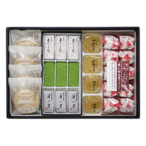 aَq Ă݂₰W n j Gِ  RAYi RA 鉺E]W Pay-TT-919