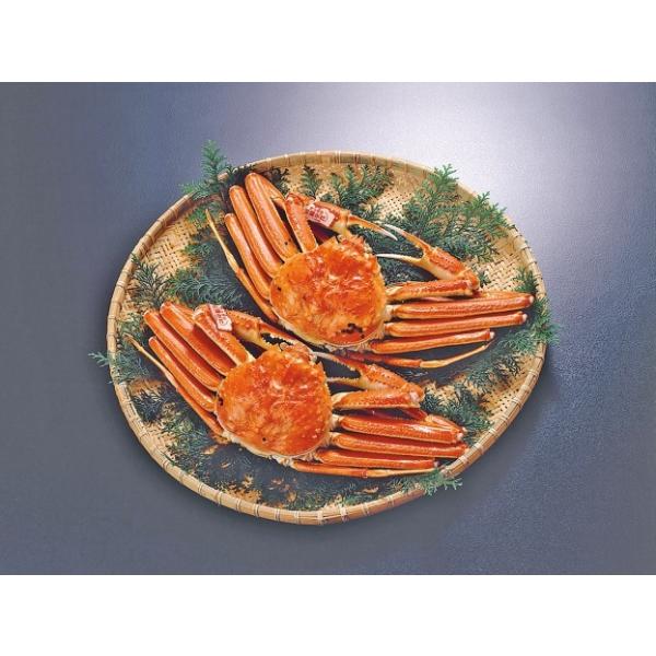 I Jj  {C   n Z^[݂ t 600g×2(①) RAYi 2025ɂɃZNVPay-MK08-1