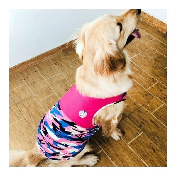 犬 シャツの人気商品 通販 価格比較 価格 Com