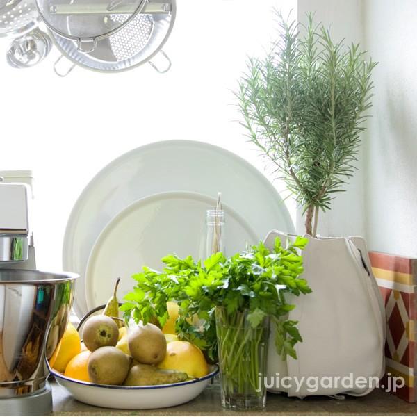 CeA   v^[ z  󂯕sv  ϗtA ut@ubNv^[@STCYv@ʌvt@zAؔ