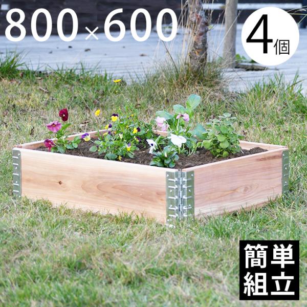 木製プランター 砂場 花壇 「a+ design ガーデンボックス 800×600 4個