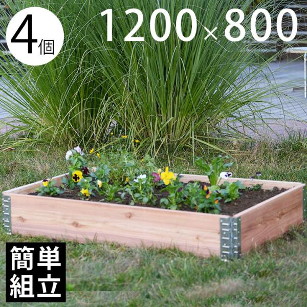 木製プランター 砂場 花壇 「a+ design ガーデンボックス1200×800 4個