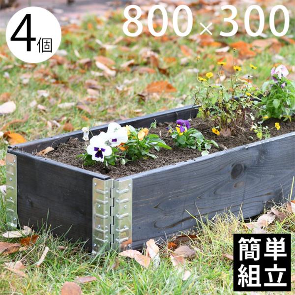 juicygarden_g2apap-002553 juicygarden_g2apap-002553