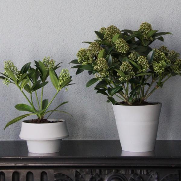 v^[  Aؔ |bg x[X POT K[fjO VR 킢 Vv uN[ tH[hiJOKJOR FOLDjv