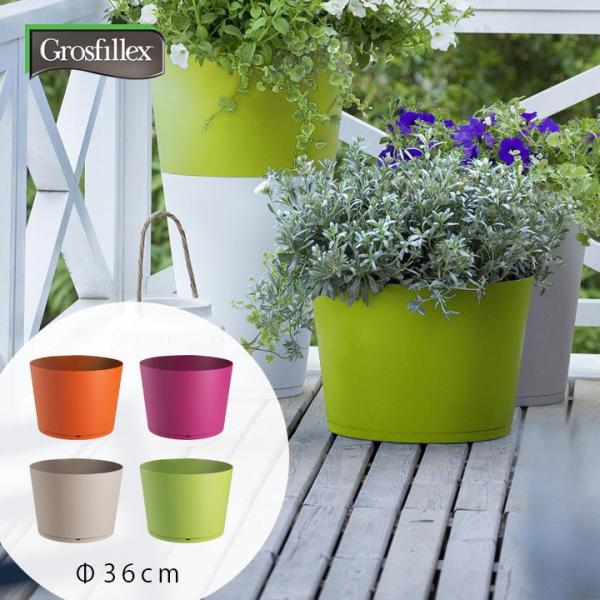 t[|bg Aؔ  Jo[ K[fjO O  O  uGrosfillex S[tBbNX TOKYO v^[ Solo a36cm i12jv