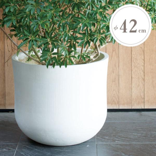  ^ Aؔ u|vijiPOPNANIj CC Mva42cm 36.5cm e38L zCg