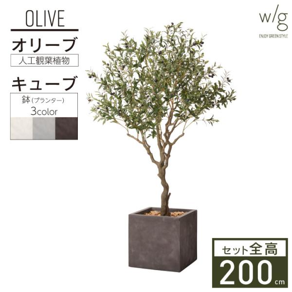 農業資材 ガーデニング 2m オリーブ」の人気商品一覧 | 安い商品