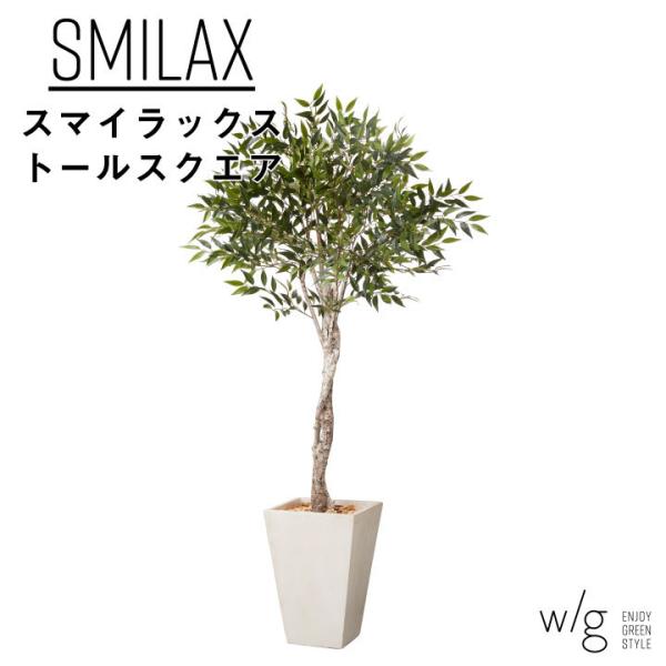 tFCNO[Zbg ^uX}CbNX×Tall Square w/gv190cm lHϗtA CeAO[  A  ItBX