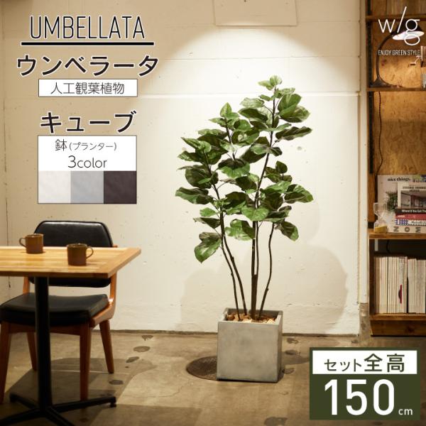 tFCNO[ A ^uEx[^×Cube w/gv150cm tBJX S̖ lHϗtA CeAO[  A  ItBX