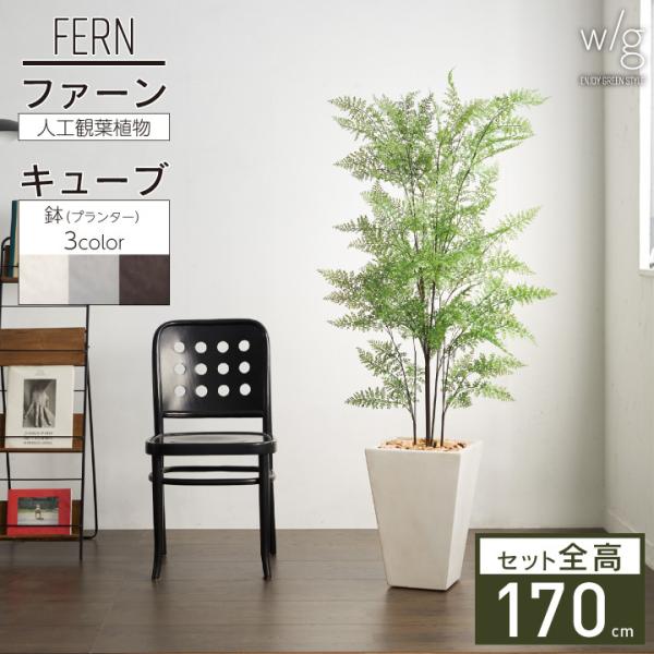 tFCNO[Zbg ^ut@[×Tall Square w/gv170cm lHϗtA CeAO[  A  ItBX