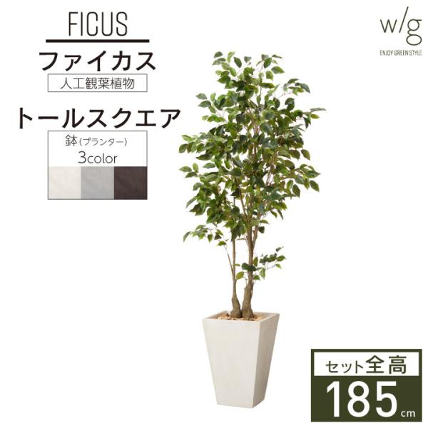 tFCNO[Zbg ^ut@CJX×Tall Square w/gv185cm tBJX xW~ S̖ lHϗtA CeAO[  A