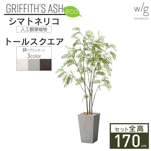 フェイクグリーン鉢セット 大型「シマトネリコ×トールスクエア w/g-eco
