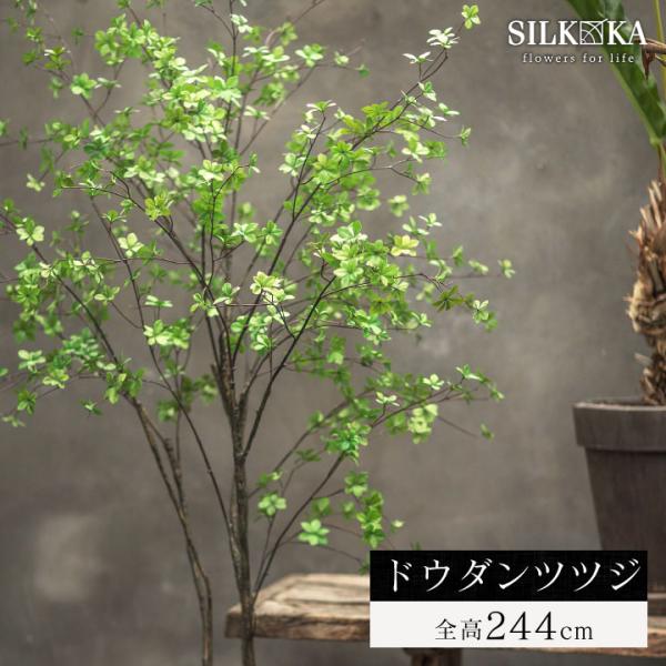 juicygarden_g6jgsik-002632