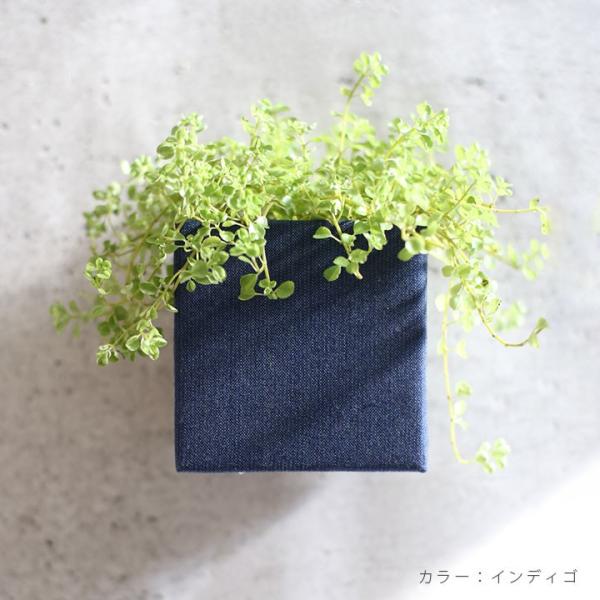 v^[  A ւ K[fjO Ǌ| uv^[{bNX nRgRihacotocoj L[u 3Zbg W110×H110×D117mmv