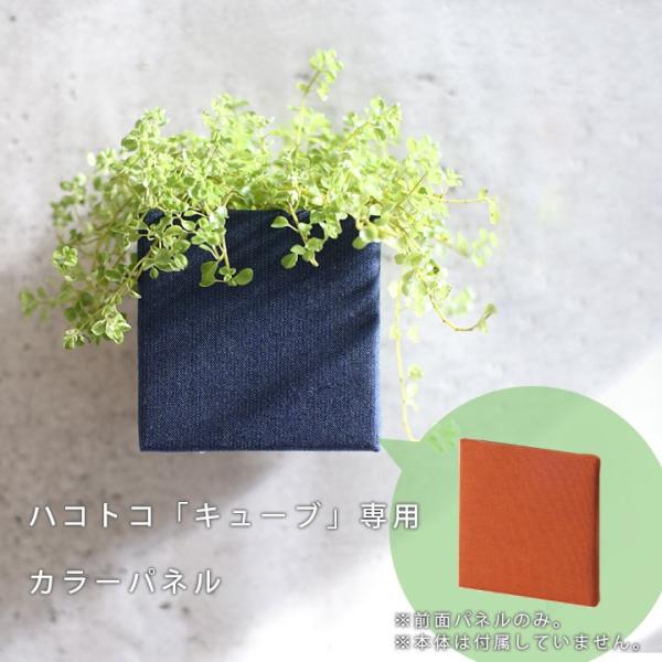 juicygarden_jg-a1jgnd-001199