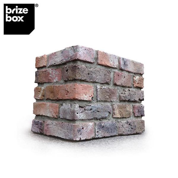 uBrizebox uCY{bNX [Wp uvyz{bNX{̕ʔz