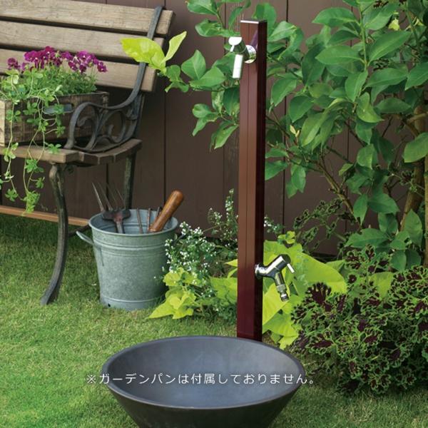   ֌ A~ Jt Vv אguANA[WWv