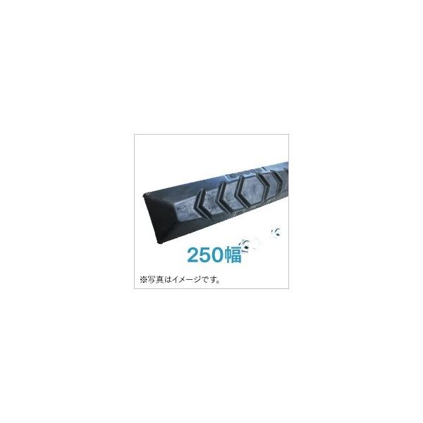 ゴムパッド 250mm幅  1枚 P101-250B/NM KBL 2本ボルト止め シューパッド 250幅 六角ナット ワッシャー付き ユンボ バックホー