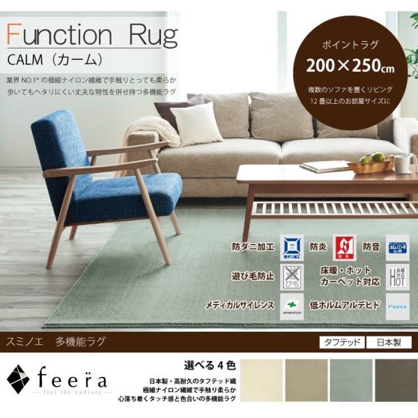 防音＆防炎機能付き光沢と陰影が美しい国産多機能ラグ　コズミック スミノエ 多機能ラグ CALM (カーム) 200cm×250cm 防ダニ・防音 (床衝撃