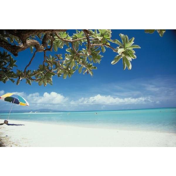 Ocean Mist(A}/tOX/XeBbN/fBt[U//F/WA/CeA/m[uXp[N/GZX)