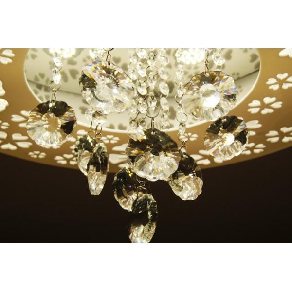 V[OCg LED Ɩ FK005C iVfA Ɩ ԐڏƖ LED  VƖ fUC CeA V[OƖ j