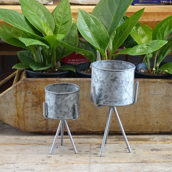 julian1992_40006_2_d_20250827160655