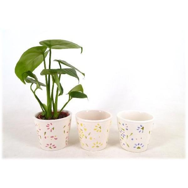 観葉植物 ハイドロカルチャー 3号の人気商品・通販・価格比較 - 価格.com 観葉植物 ハイドロカルチャー 3号の人気商品・通販・価格比較 - 価格.com