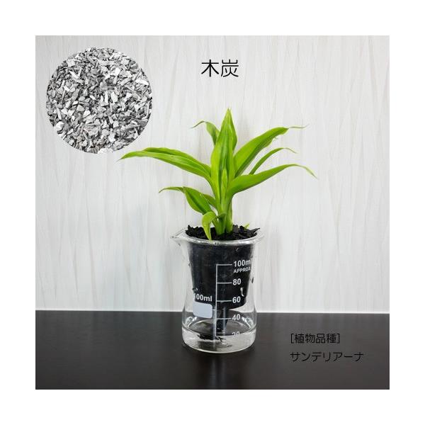 ウォータリウム ビーカーs100ml 炭植え 観葉植物 ハイドロカルチャー 水耕栽培 インテリアグリーン Buyee Buyee 日本の通販商品 オークションの代理入札 代理購入