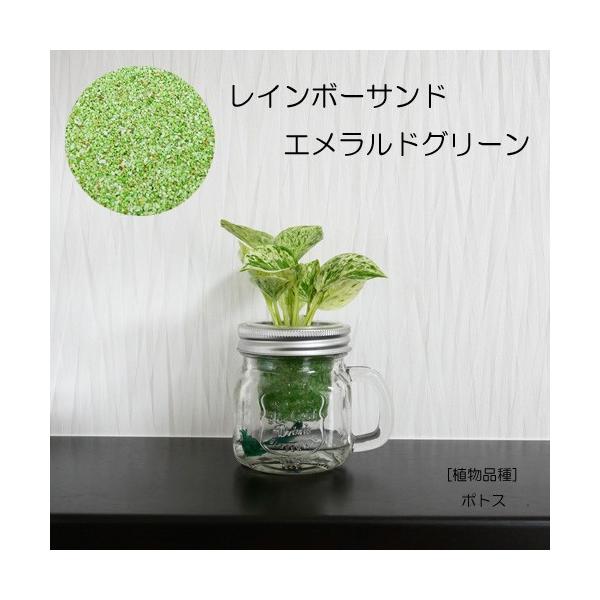 ウォータリウム ドリンクジャーs レインボーサンド植え 観葉植物 ハイドロカルチャー 水耕栽培 インテリアグリーン Buyee Buyee 日本の通販商品 オークションの代理入札 代理購入