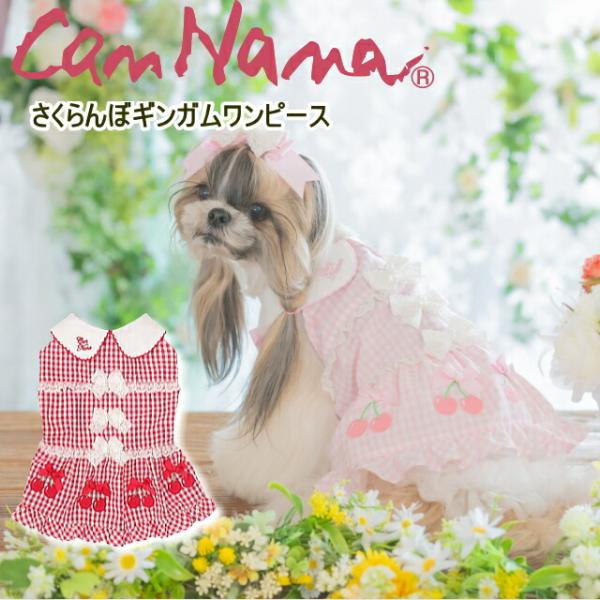 きゃんナナ　ワンピース　Ｓサイズ CanNana きゃんナナ 犬服 春 夏 さくらんぼギンガムワンピース SS-L