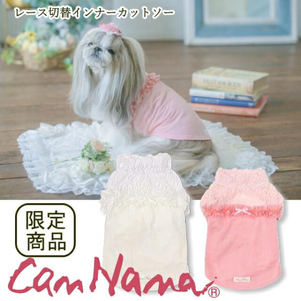 jungle-pet_can-1140
