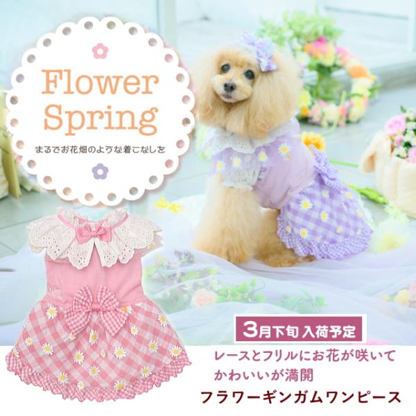 きゃんナナ　S＋M フラワーギンガムワンピース ピンク CanNana 犬服 春 フラワーギンガムワンピース SS-Lサイズ きゃんナナ