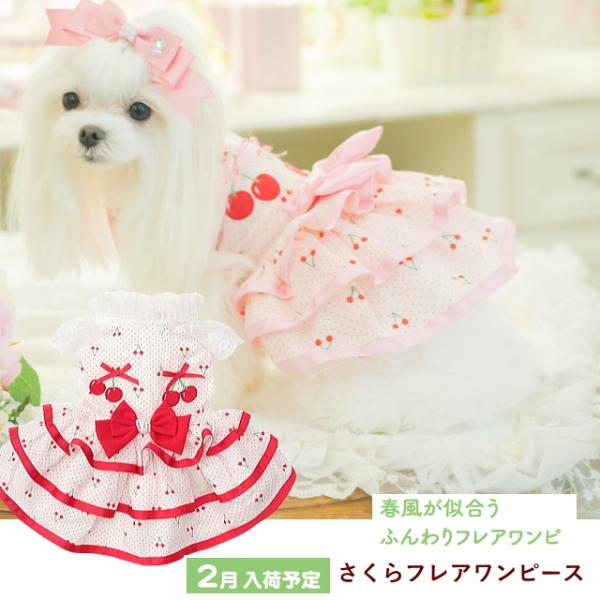 jungle-pet_can-1155