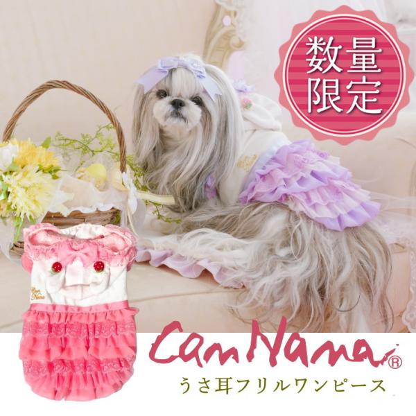 jungle-pet_can-a-531
