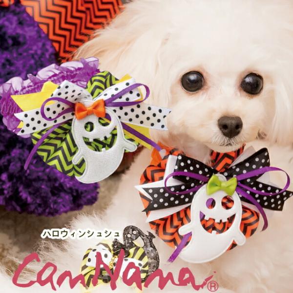 シュシュ 犬用品の人気商品 通販 価格比較 価格 Com