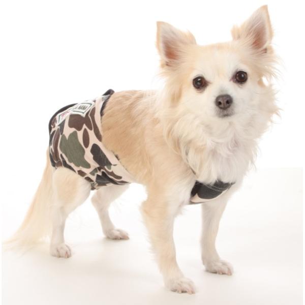 yiizJt}i[X[c SS-LLTCY