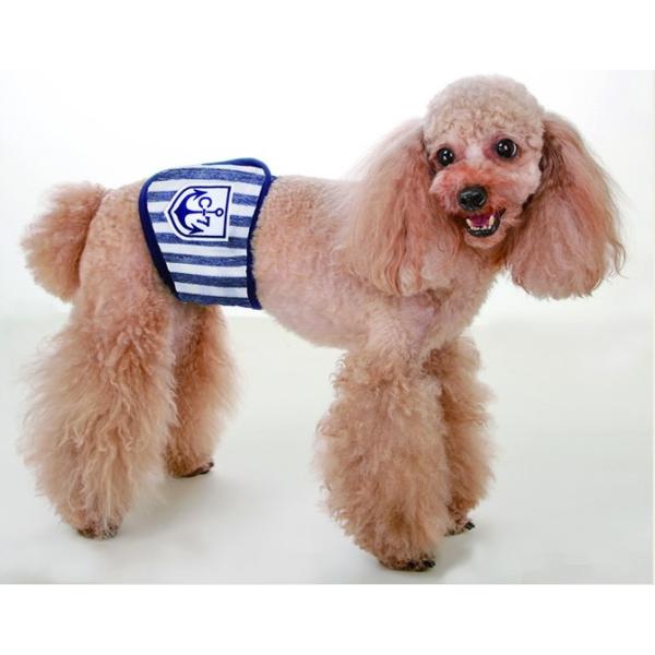 CanNana yiiz}{[_[}i[oh SSTCY