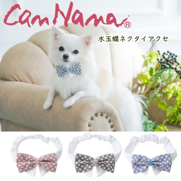 tāyiiz lN^C ANZ Lii ʒlN^CANZ ʌ SCH002