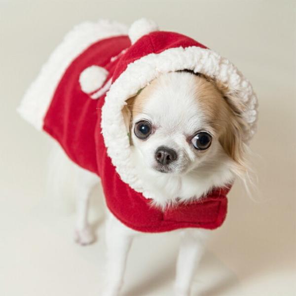 yh[zT^Tb|~K[@ps[S,3STCY@^ RXv