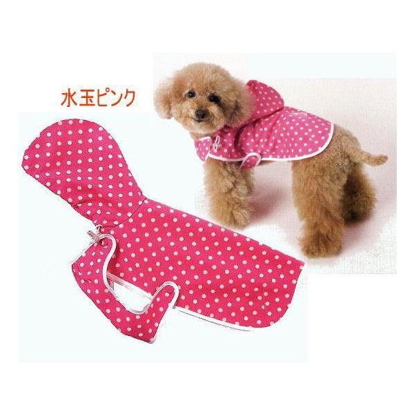 Z[yiiz}g^CvCR[gi^j5L,6LTCY